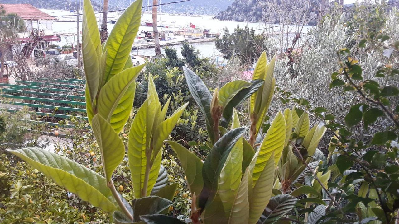 Hotel Cennet Pansiyon Kaleucagız Zewnętrze zdjęcie